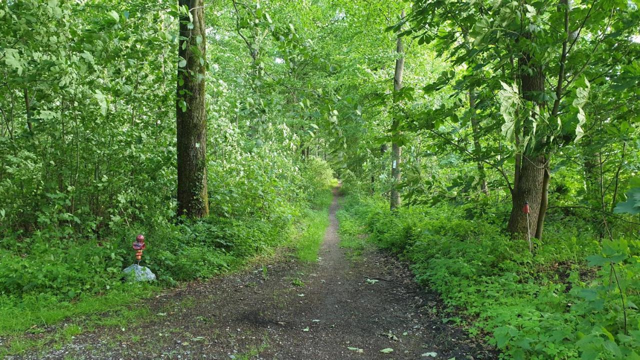 Fewo Fruehling In Der Villa Waldrand Mit Grossem Garten Bad Wünnenberg Extérieur photo
